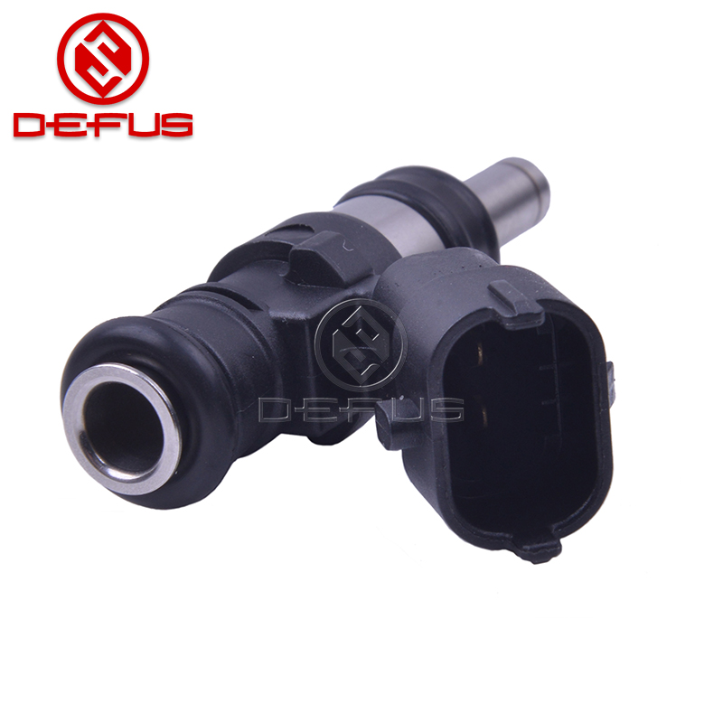 DEFUS-Professional Bosch Fuel Injectors Gas Fuel Injection Supplier-2