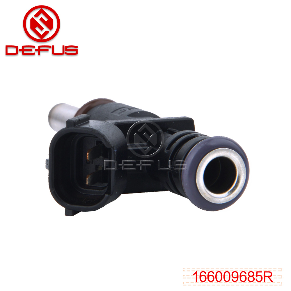 DEFUS-High-quality Bosch Fuel Injectors | Fuel Injector Nozzel 166009685r-1