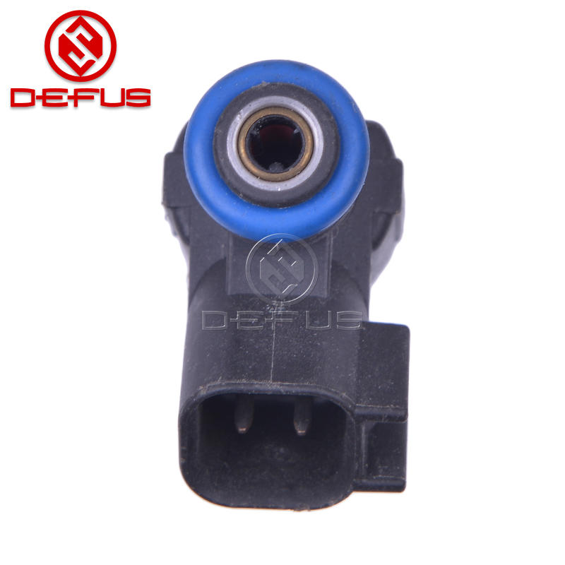 DEFUS-Professional Customized Other Brands Automobile Fuel Injectors-2